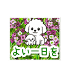 動く☆大人やさしいトイプードルと野の花（個別スタンプ：22）