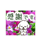 動く☆大人やさしいトイプードルと野の花（個別スタンプ：23）