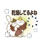 黒ねこ＆みけさん便り・13（個別スタンプ：7）