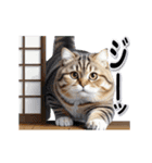 もっちりトラ猫【冬Ver】（個別スタンプ：6）