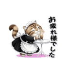 もっちりトラ猫【冬Ver】（個別スタンプ：7）