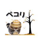 もっちりトラ猫【冬Ver】（個別スタンプ：12）