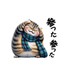 もっちりトラ猫【冬Ver】（個別スタンプ：14）