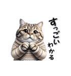 もっちりトラ猫【冬Ver】（個別スタンプ：16）