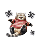 もっちりトラ猫【冬Ver】（個別スタンプ：17）