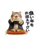 もっちりトラ猫【冬Ver】（個別スタンプ：24）