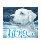 寒がるだけのスタンプ（個別スタンプ：26）