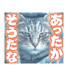 寒がるだけのスタンプ（個別スタンプ：29）