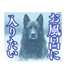 寒がるだけのスタンプ（個別スタンプ：34）