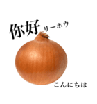 国産玉ねぎ【台湾語】（個別スタンプ：1）