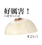 国産玉ねぎ【台湾語】（個別スタンプ：3）