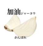 国産玉ねぎ【台湾語】（個別スタンプ：5）