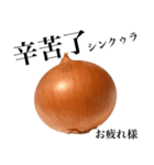 国産玉ねぎ【台湾語】（個別スタンプ：8）