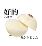 国産玉ねぎ【台湾語】（個別スタンプ：10）