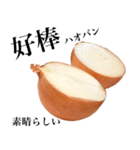 国産玉ねぎ【台湾語】（個別スタンプ：11）