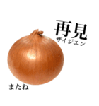 国産玉ねぎ【台湾語】（個別スタンプ：16）