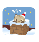飛び出す！冬 3びきのこねこ♪（個別スタンプ：9）