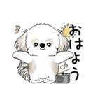 動くシーズー犬 2025 「踊るシーズーさん」（個別スタンプ：1）