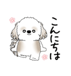 動くシーズー犬 2025 「踊るシーズーさん」（個別スタンプ：2）