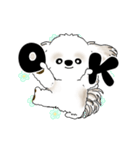 動くシーズー犬 2025 「踊るシーズーさん」（個別スタンプ：3）