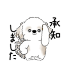 動くシーズー犬 2025 「踊るシーズーさん」（個別スタンプ：4）