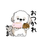 動くシーズー犬 2025 「踊るシーズーさん」（個別スタンプ：5）