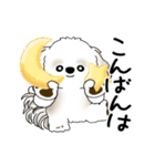 動くシーズー犬 2025 「踊るシーズーさん」（個別スタンプ：6）