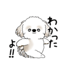 動くシーズー犬 2025 「踊るシーズーさん」（個別スタンプ：8）