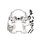 動くシーズー犬 2025 「踊るシーズーさん」（個別スタンプ：11）