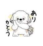 動くシーズー犬 2025 「踊るシーズーさん」（個別スタンプ：13）