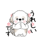 動くシーズー犬 2025 「踊るシーズーさん」（個別スタンプ：14）