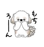 動くシーズー犬 2025 「踊るシーズーさん」（個別スタンプ：16）