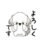 動くシーズー犬 2025 「踊るシーズーさん」（個別スタンプ：18）