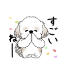 動くシーズー犬 2025 「踊るシーズーさん」（個別スタンプ：19）