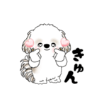 動くシーズー犬 2025 「踊るシーズーさん」（個別スタンプ：20）