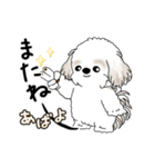 動くシーズー犬 2025 「踊るシーズーさん」（個別スタンプ：21）