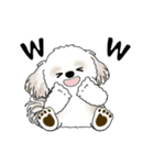 動くシーズー犬 2025 「踊るシーズーさん」（個別スタンプ：22）