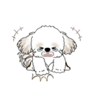 動くシーズー犬 2025 「踊るシーズーさん」（個別スタンプ：23）