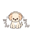 やさしいマルプー『デカ文字・敬語』（個別スタンプ：4）