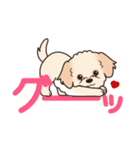 やさしいマルプー『デカ文字・敬語』（個別スタンプ：5）