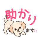 やさしいマルプー『デカ文字・敬語』（個別スタンプ：11）