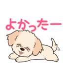 やさしいマルプー『デカ文字・敬語』（個別スタンプ：12）