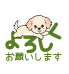 やさしいマルプー『デカ文字・敬語』（個別スタンプ：13）