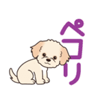 やさしいマルプー『デカ文字・敬語』（個別スタンプ：15）