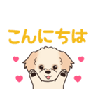 やさしいマルプー『デカ文字・敬語』（個別スタンプ：18）