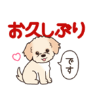やさしいマルプー『デカ文字・敬語』（個別スタンプ：19）