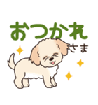 やさしいマルプー『デカ文字・敬語』（個別スタンプ：21）