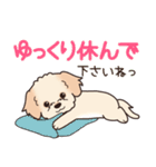 やさしいマルプー『デカ文字・敬語』（個別スタンプ：22）