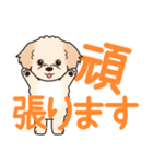 やさしいマルプー『デカ文字・敬語』（個別スタンプ：23）