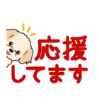 やさしいマルプー『デカ文字・敬語』（個別スタンプ：24）